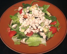 Load image into Gallery viewer, Freeze Dried Chicken Breast, Diced, Free Range, Non GMO