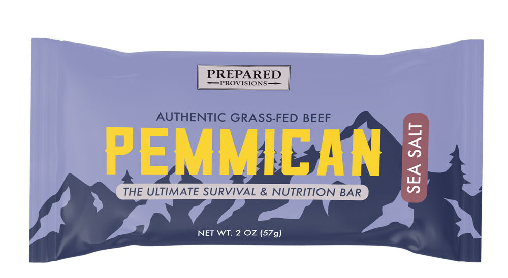 Pemmican Bars - Ancient Survival Food from Grass Fed Beef, 2 oz